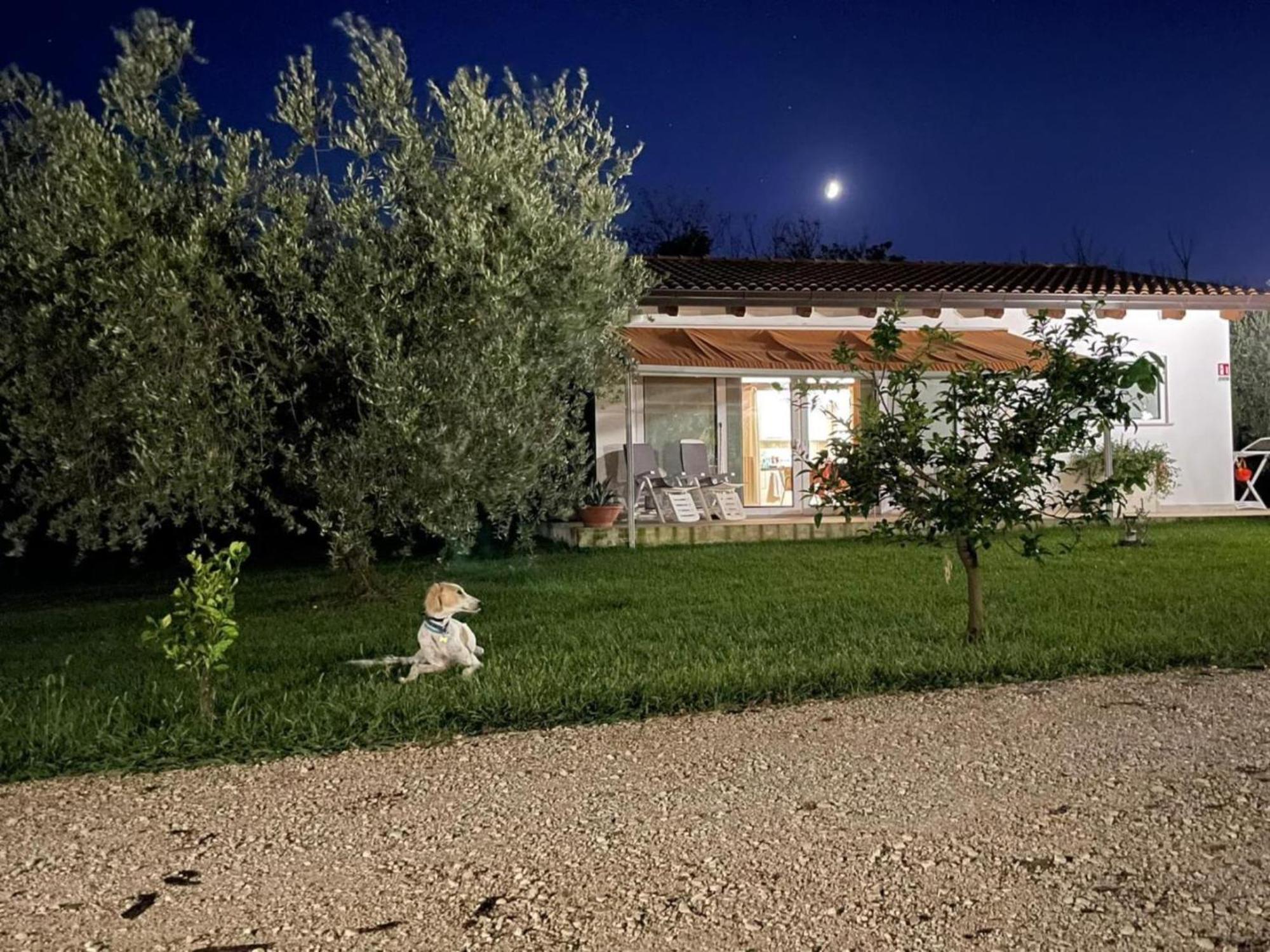Villetta Bianca Pisticci-Matera Exterior foto